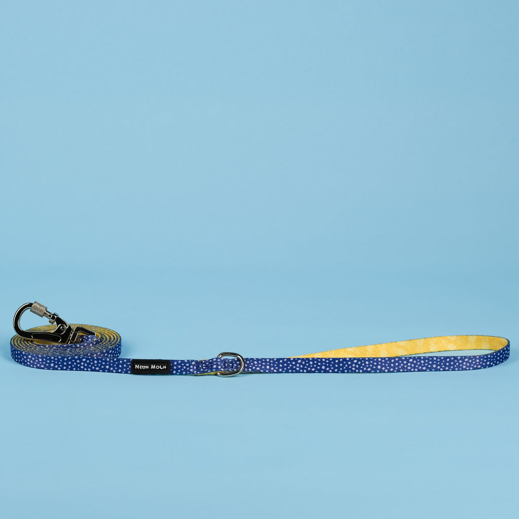 Minnie Lead Dog Lead with Padded Handle