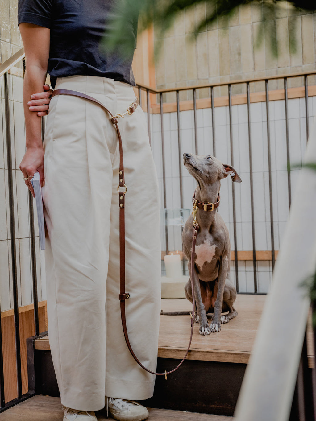 Long Leather Multi Lead for Dogs