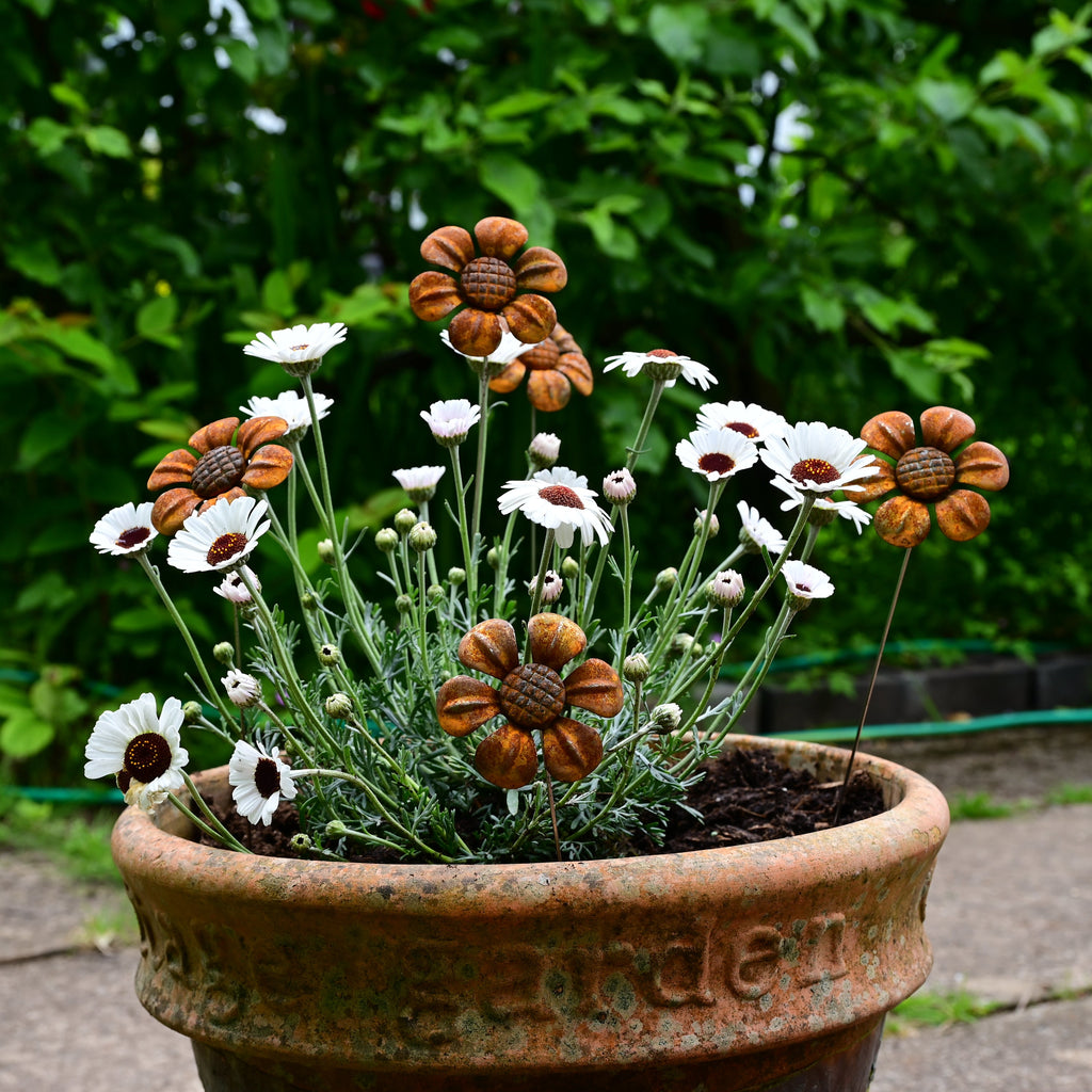 Rusty Metal Daisy