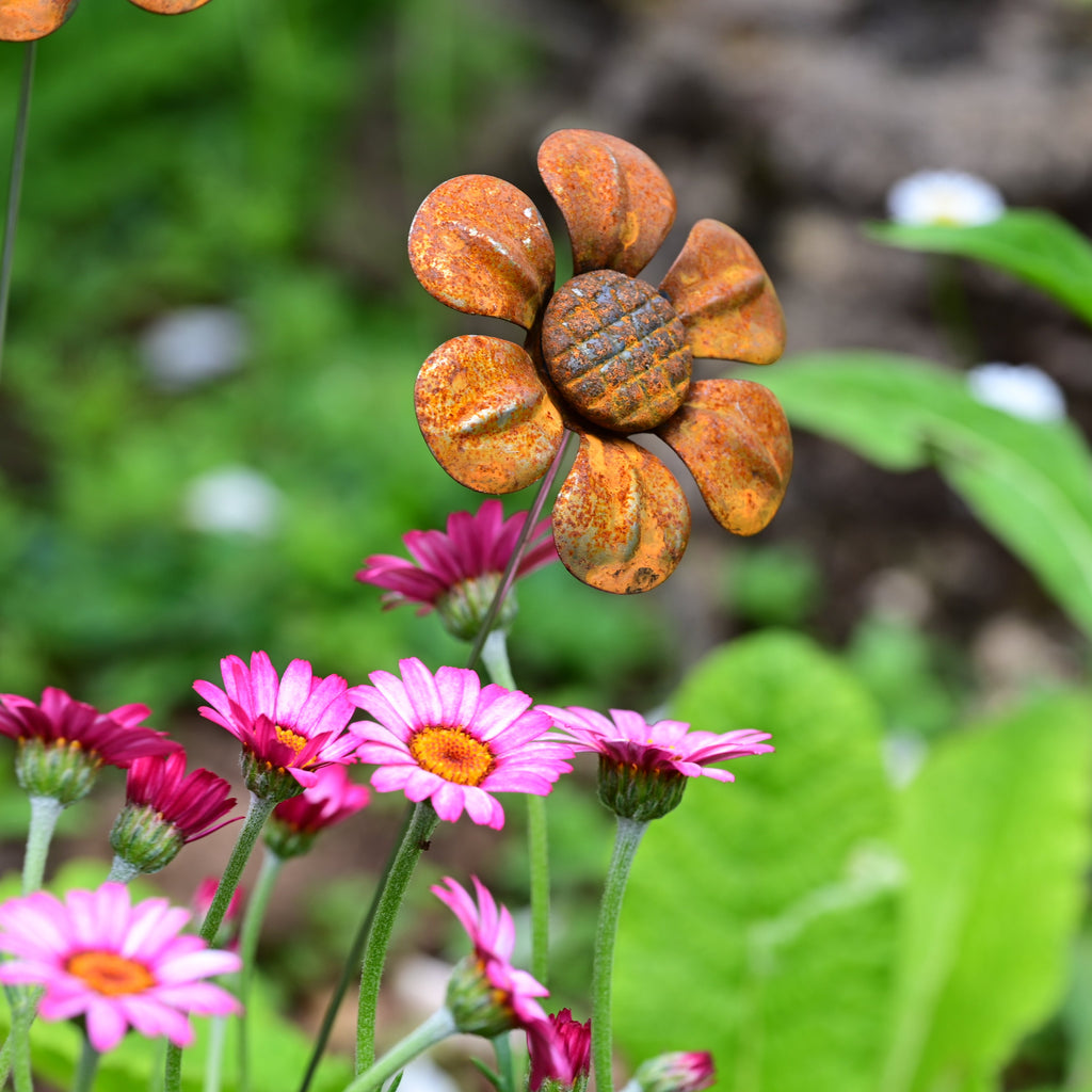 Rusty Metal Daisy