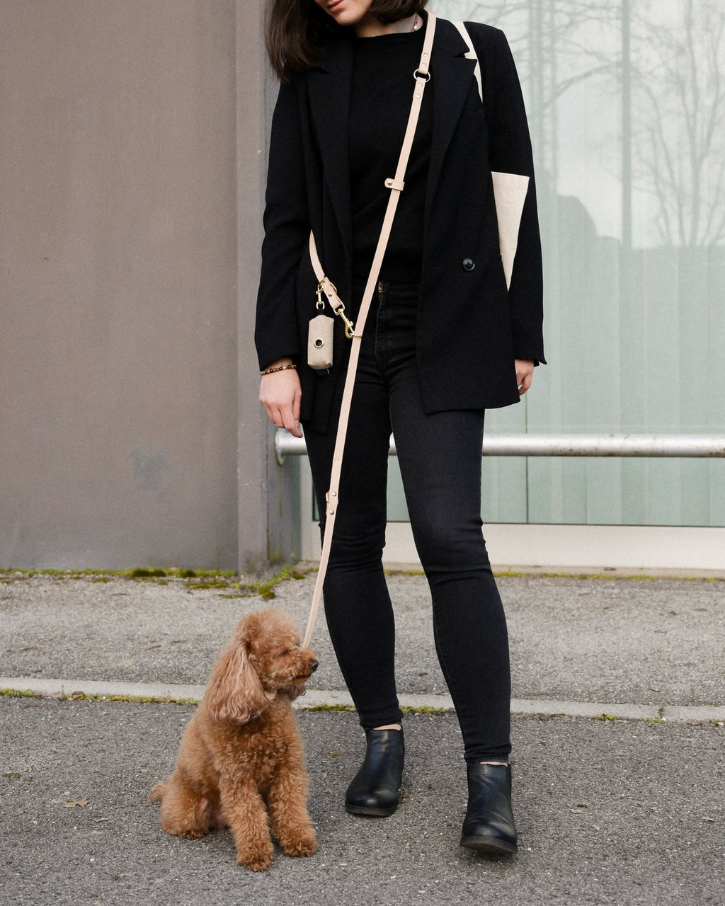 Long Leather Multi Lead for Dogs