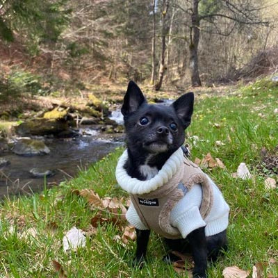 Step In Soft Touch Suede Faux Fur Lined Puppy and Small Dog Harness Caramel