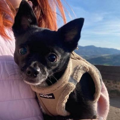 Step In Soft Touch Suede Faux Fur Lined Puppy and Small Dog Harness Caramel