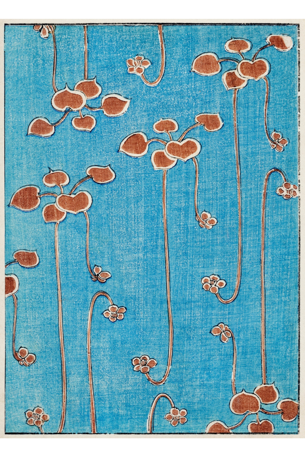 Vine Illustration Organic Cotton T-Shirt by Watanabe Seitei - Sustainable & Ethically Produced by Hopera at www.brixbailey.com