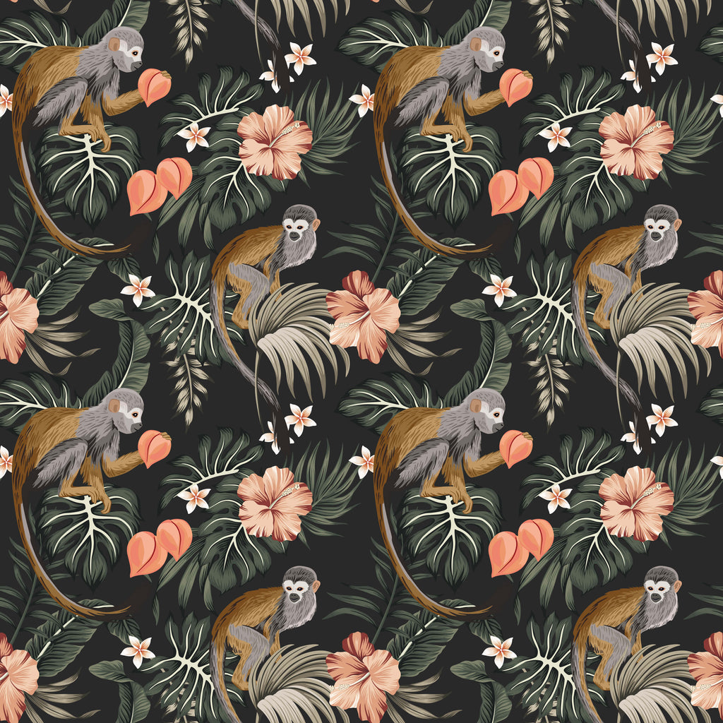 Dougal Monkey Wallpaper