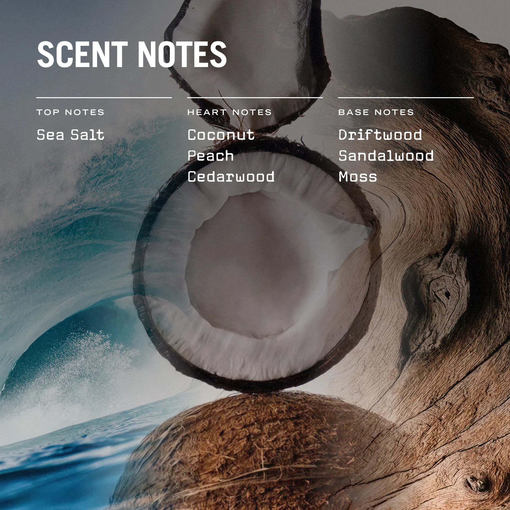 Drift 100ml Reed Diffuser