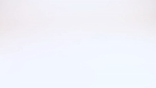 Black Suede Driving Loafers