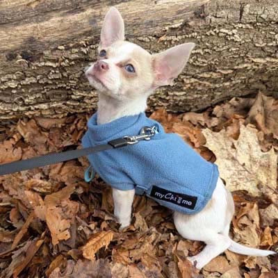 Tiny Toastie Water Repellent Fleece Dog Coat in Dusky Blue