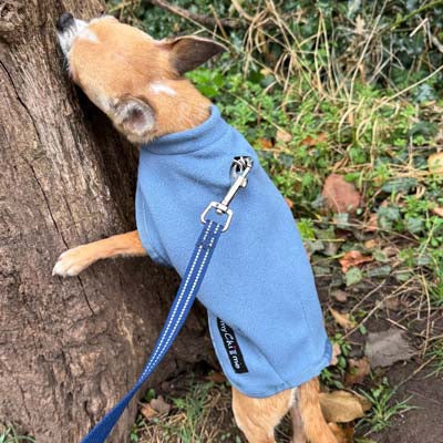 Tiny Toastie Water Repellent Fleece Dog Coat in Dusky Blue