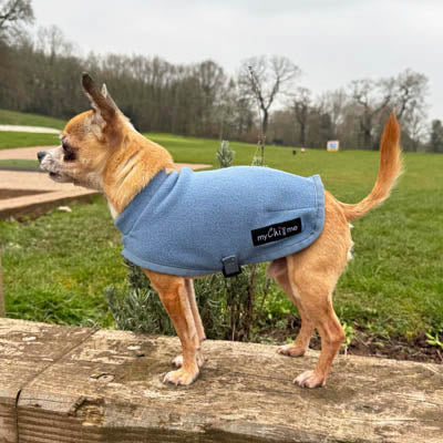 Tiny Toastie Water Repellent Fleece Dog Coat in Dusky Blue