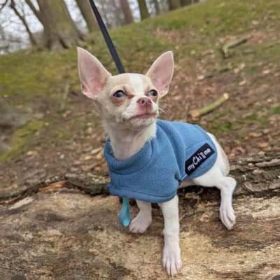Tiny Toastie Water Repellent Fleece Dog Coat in Dusky Blue