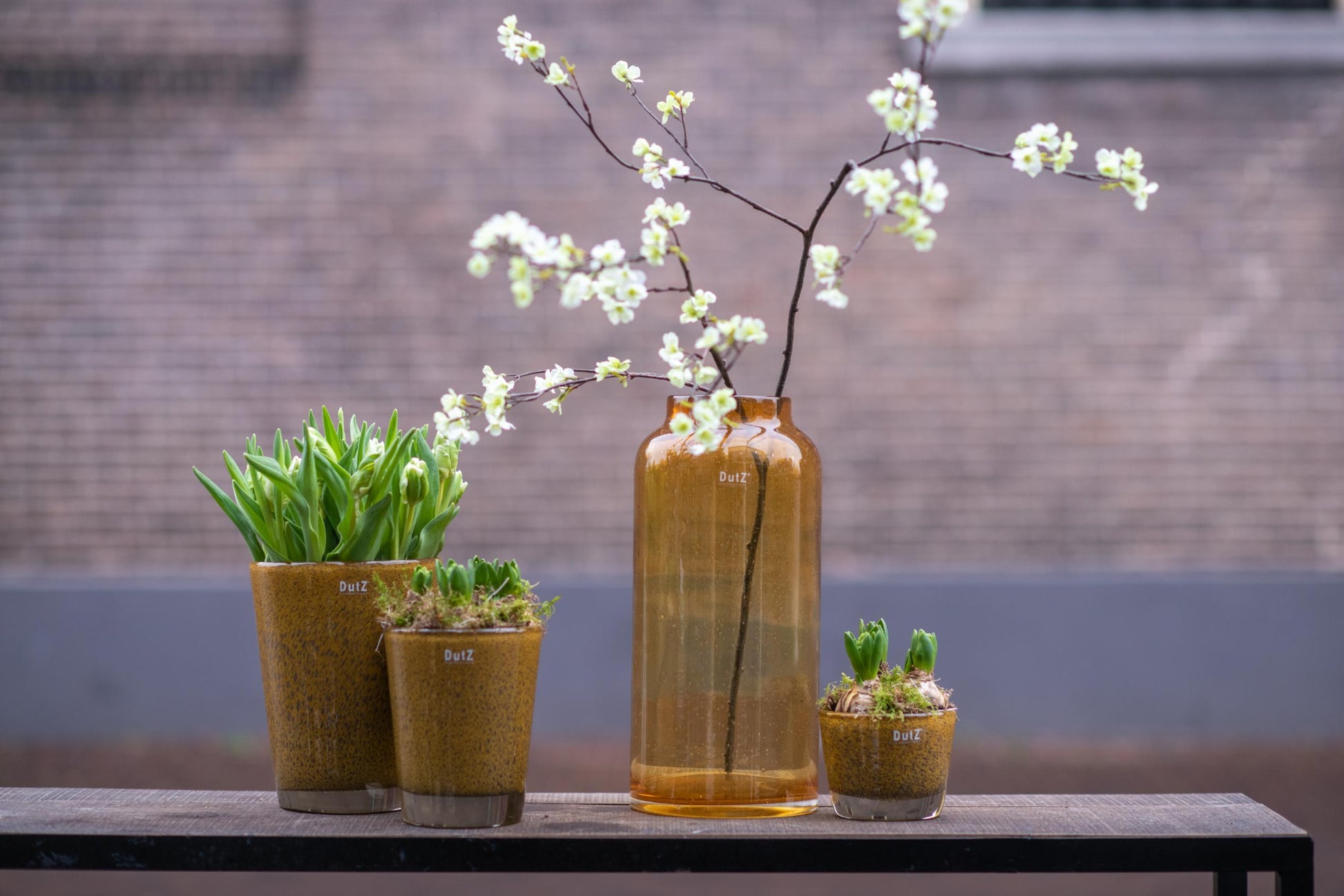 Conic Vase Thick with Bubbles