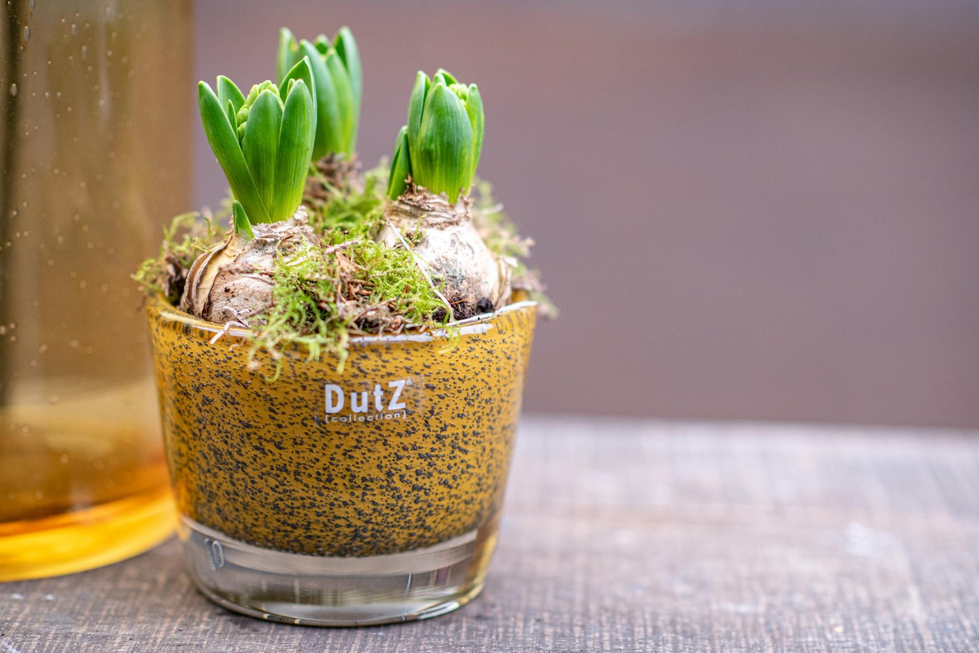 Conic Vase Thick with Bubbles