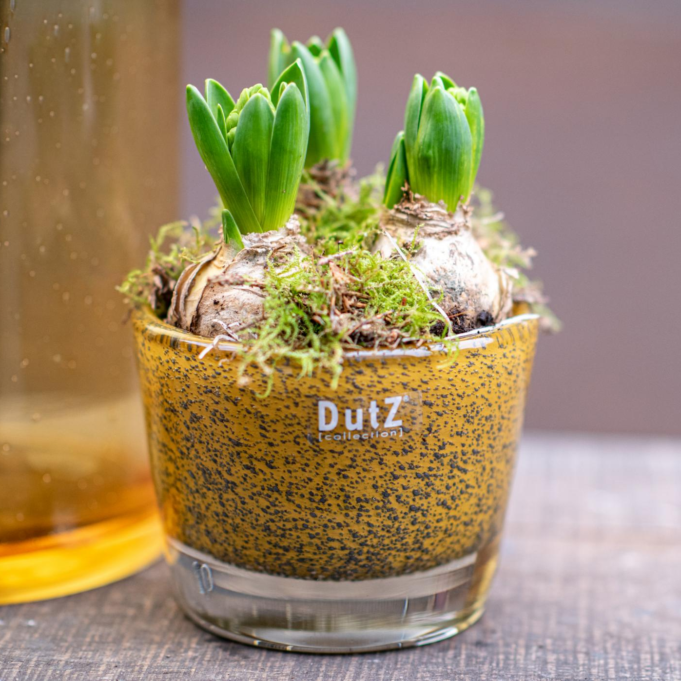 Conic Vase Thick with Bubbles