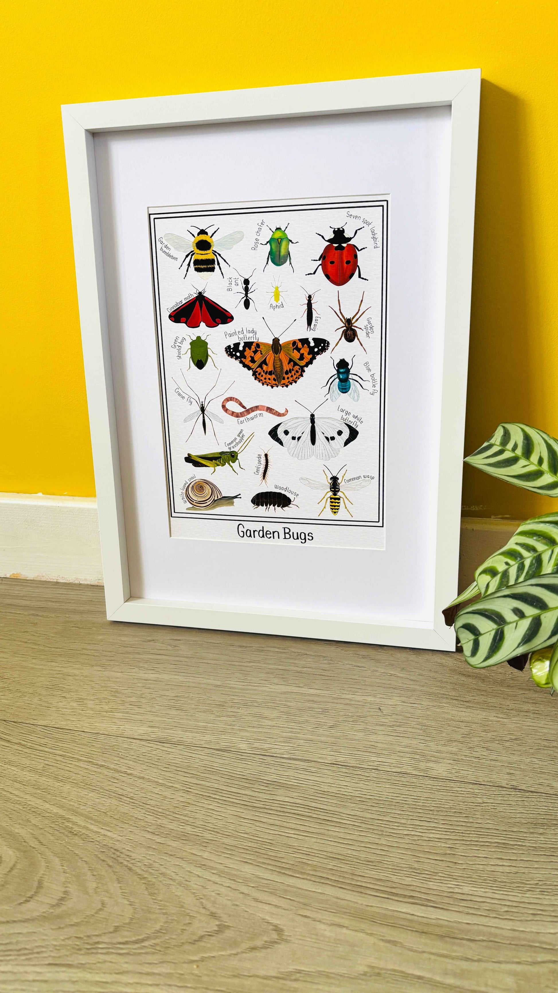Garden Bug Wall Art Print Educational Nature Illustration