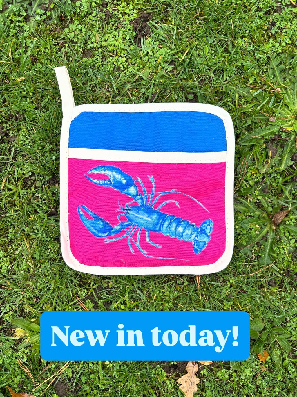 Pot Grabs with Handpainted Illustrations