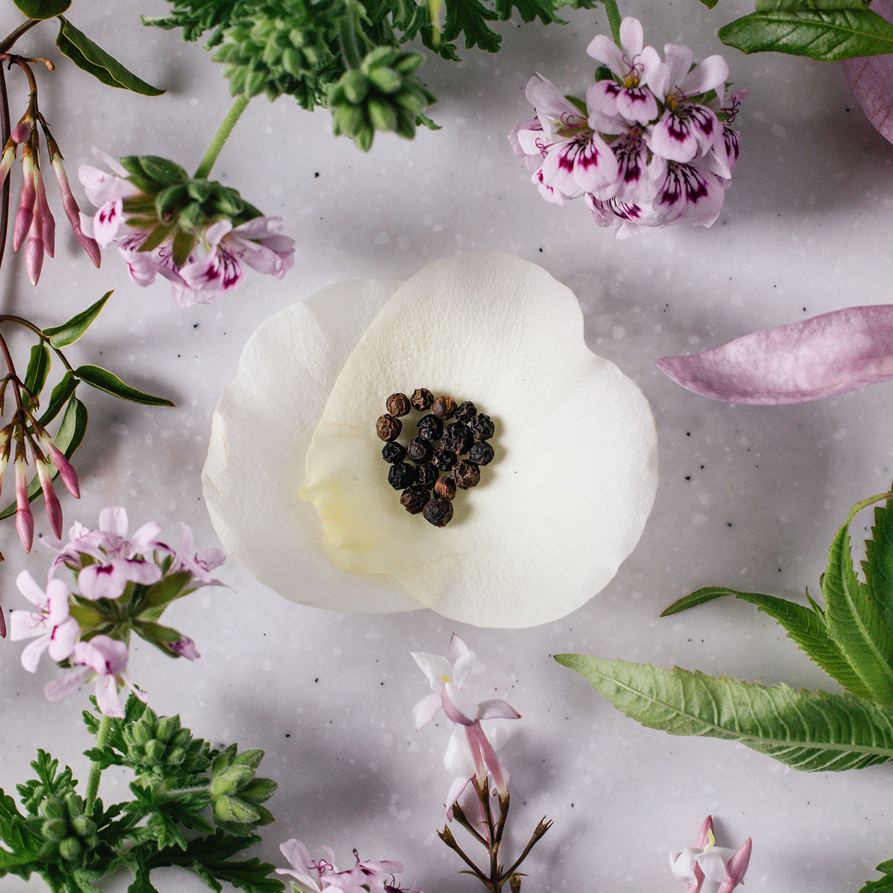 Rose Fine Bone China Candle with Gold Lid