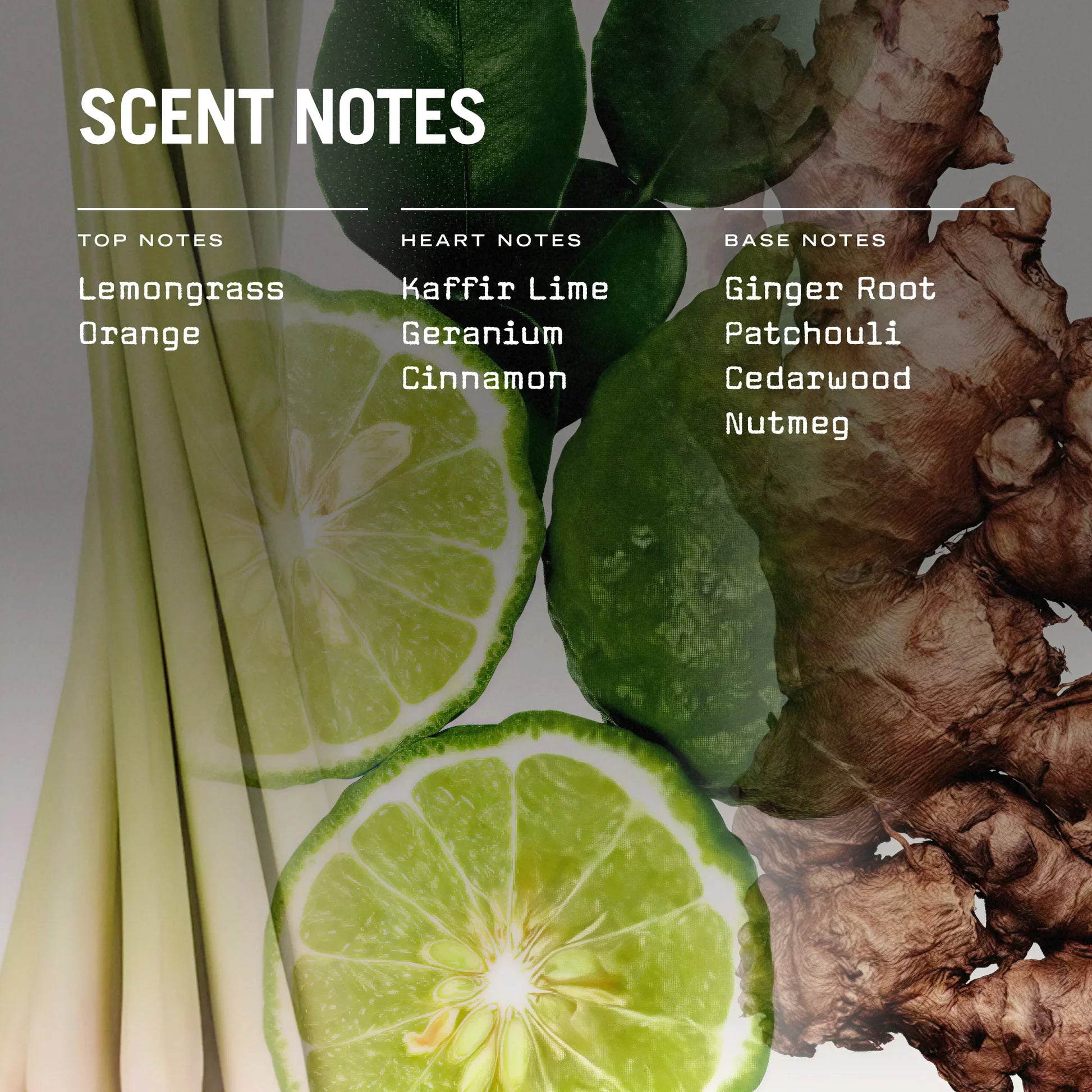 Eastern Garden 250g Scented Candle