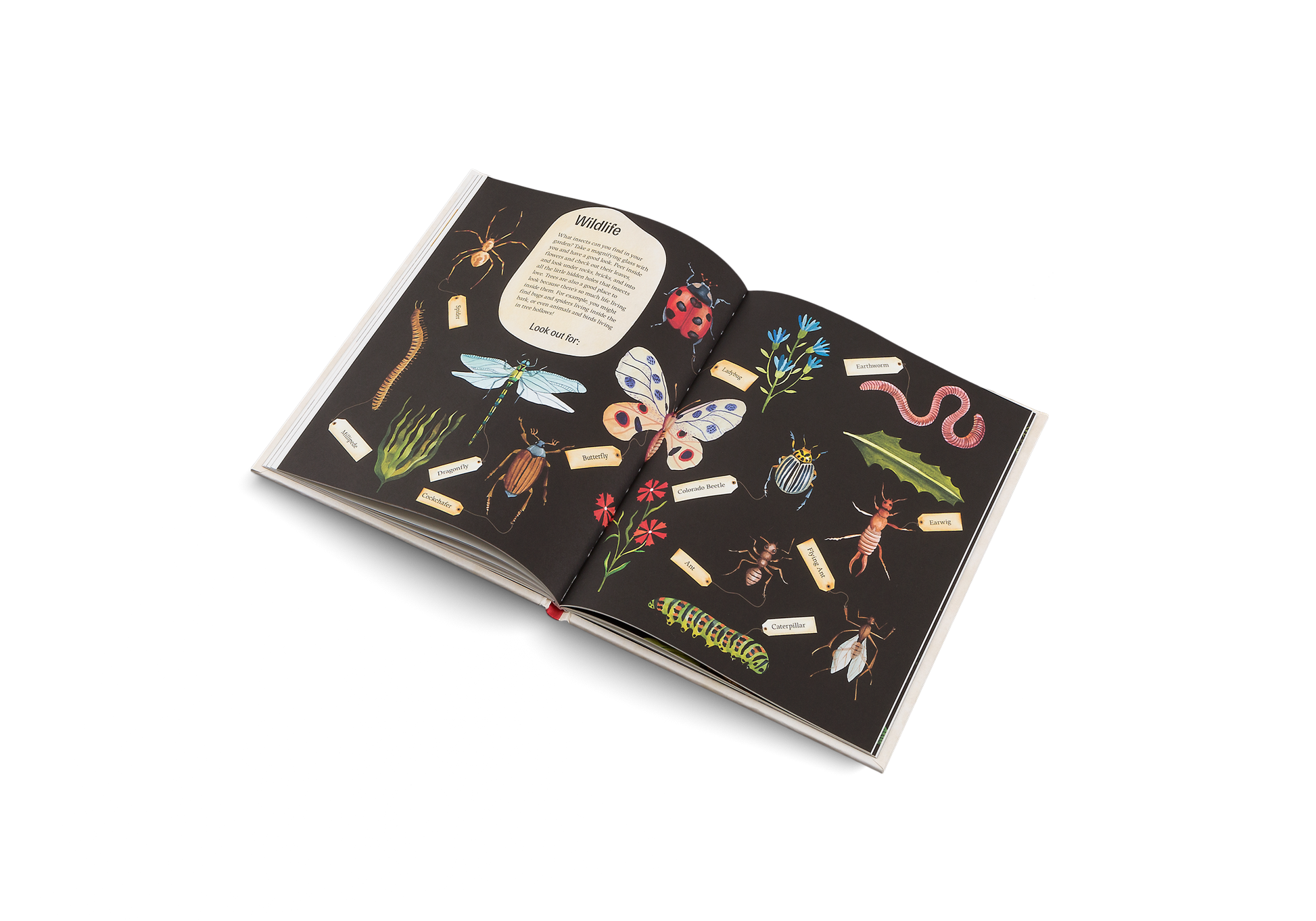 Easy Peasy Garden Kit