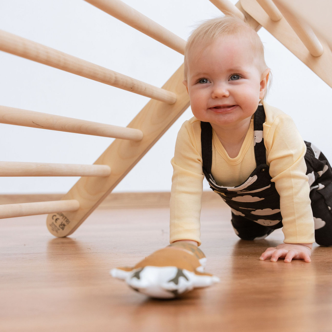 SIPITRI Climbing Triangle – Safe, Fun & Educational Toy by Ette Tete at www.brixbailey.com