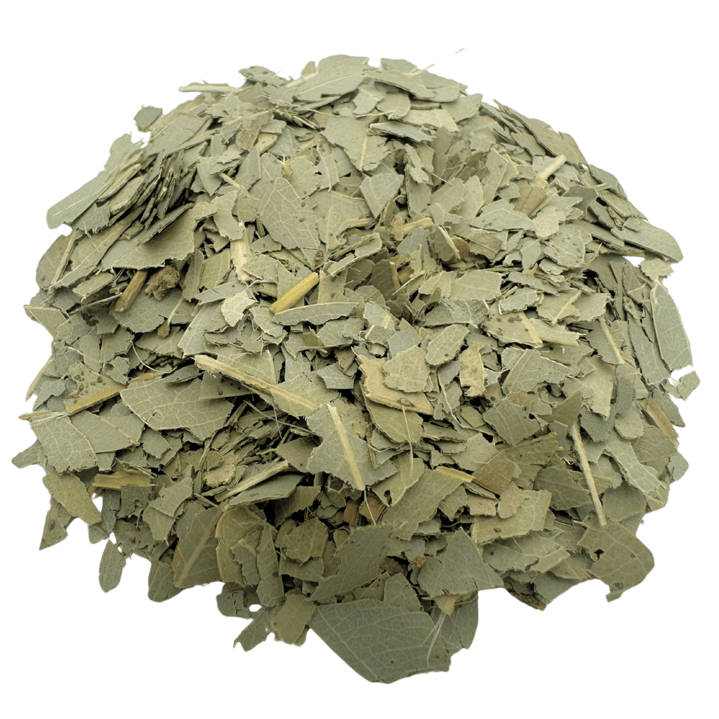 Eucalyptus Tea