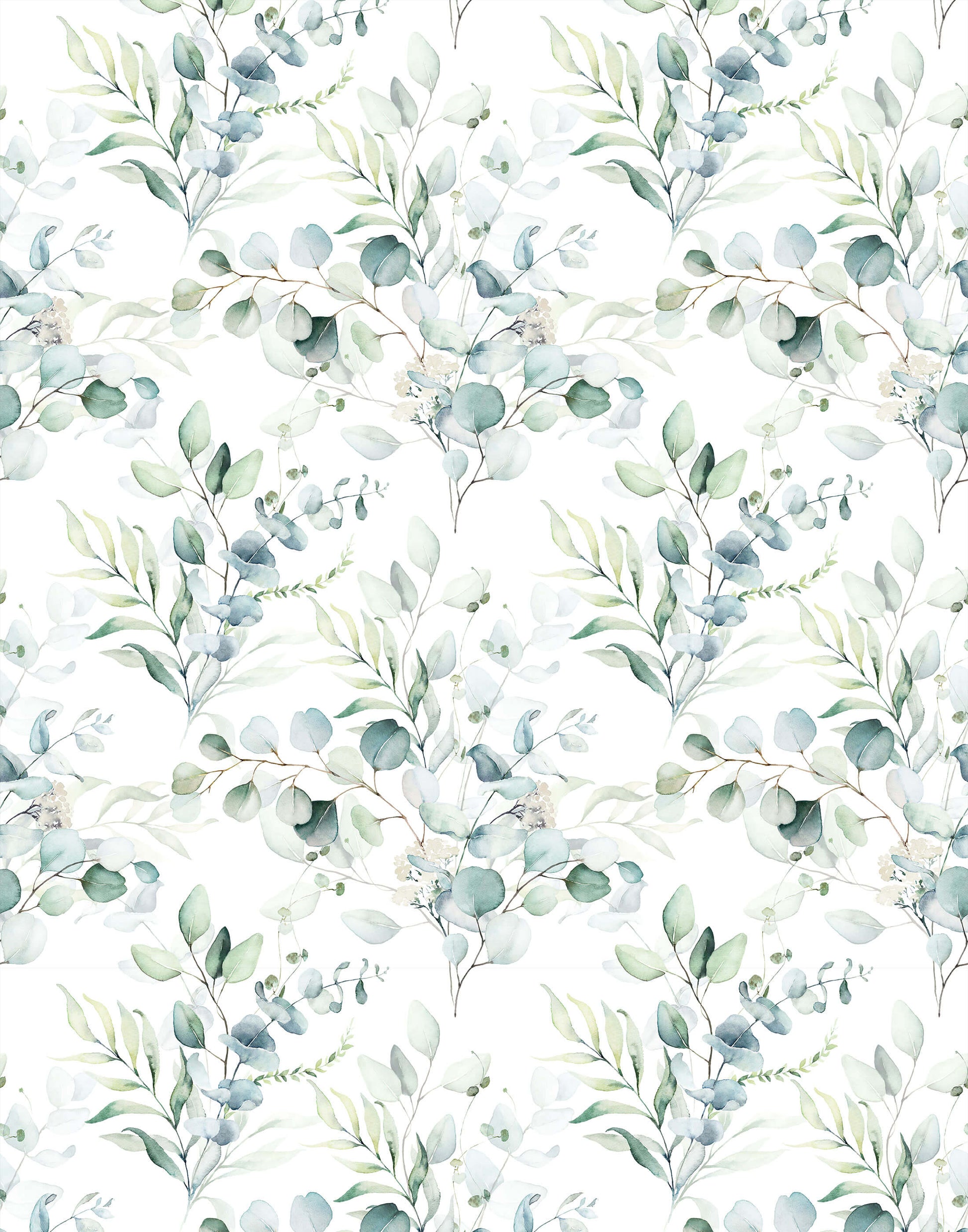 Watercolour Eucalyptus Leaf Wallpaper