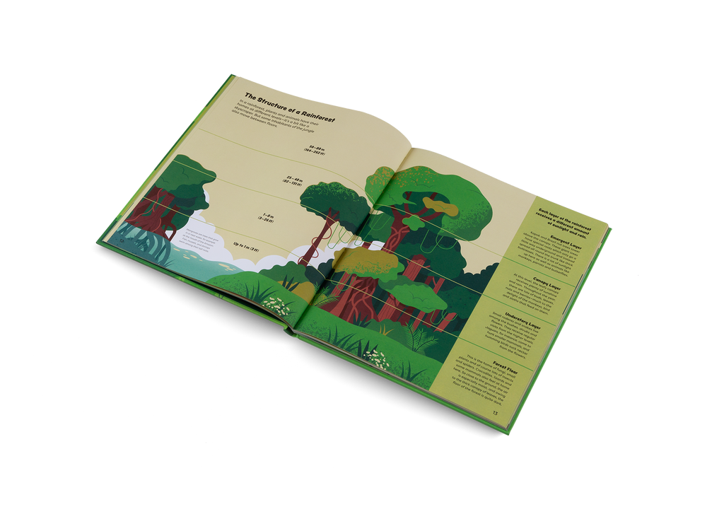 Explore the Rainforest Emma and Louis in the Jungle