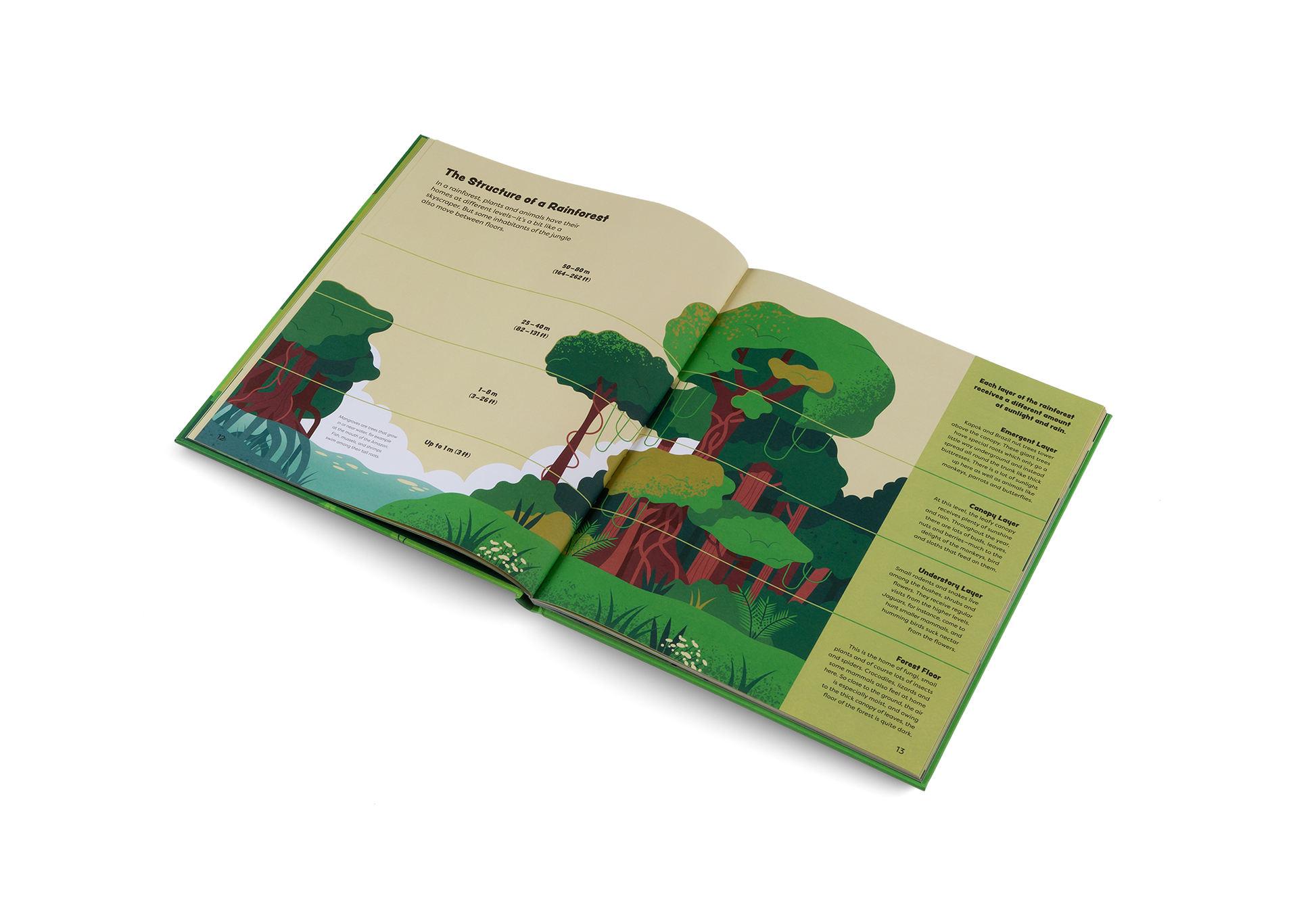 Explore the Rainforest Emma and Louis in the Jungle