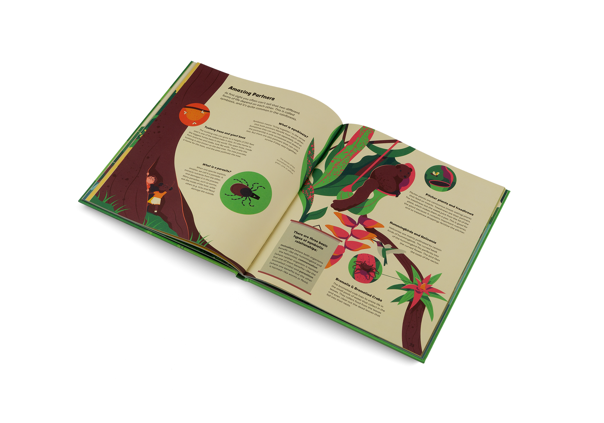 Explore the Rainforest Emma and Louis in the Jungle