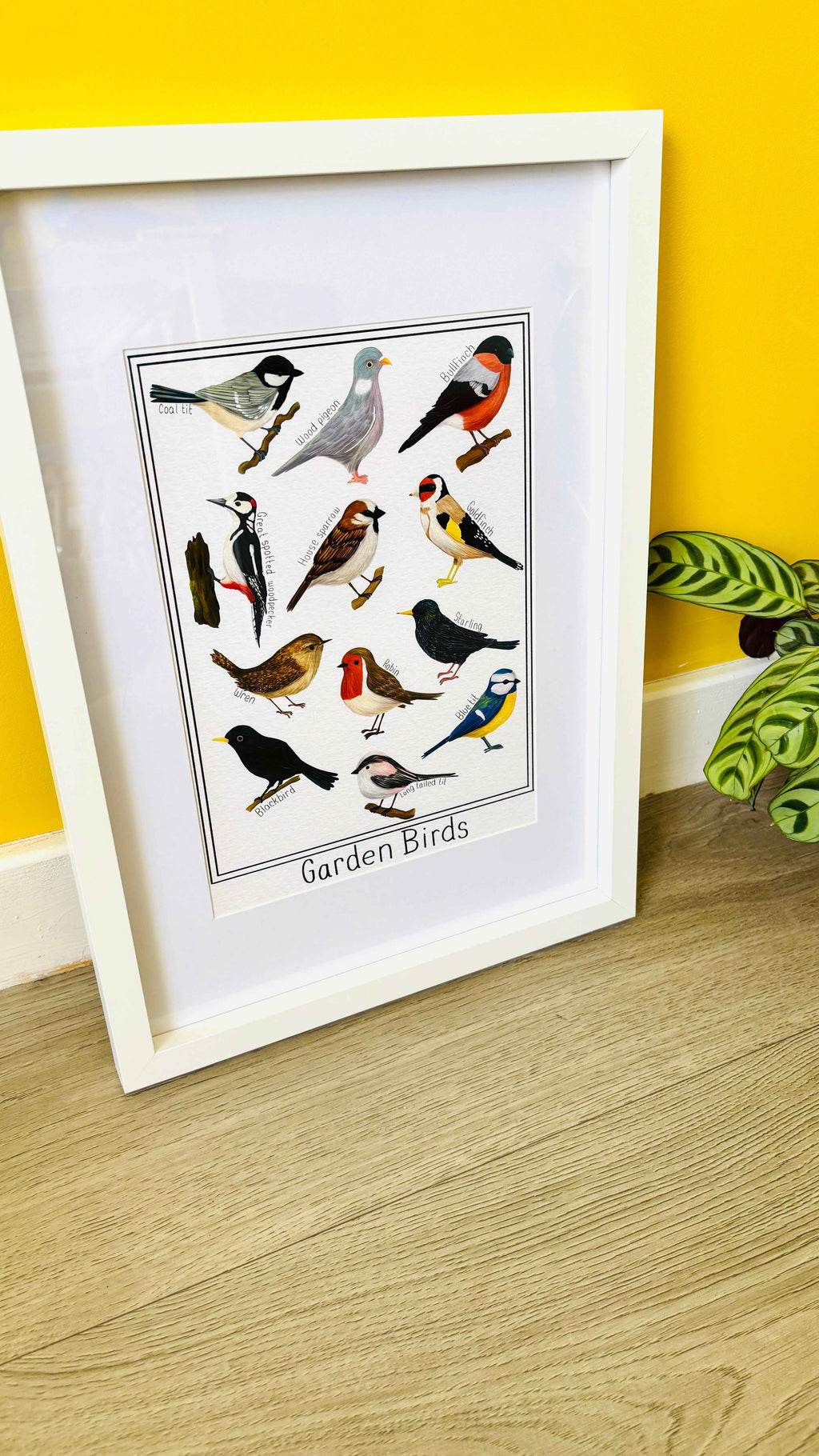 Garden British Birds Art Print Multiple Sizes