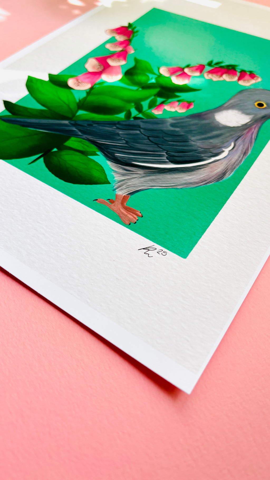 Wood Pigeon and Foxglove Art Print British Wildlife Illustration