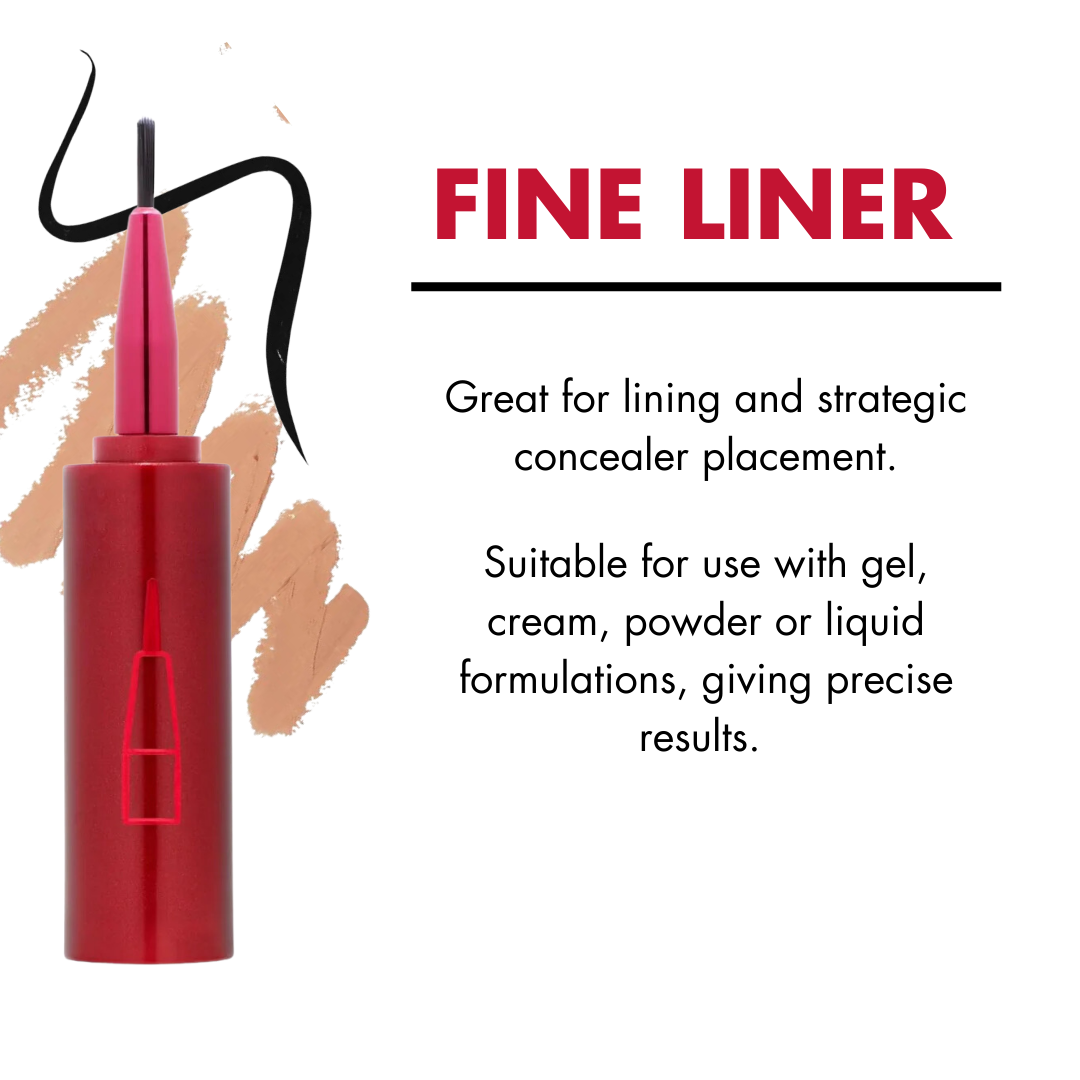 Magnetic Brush Set with Three Interchangeable Heads