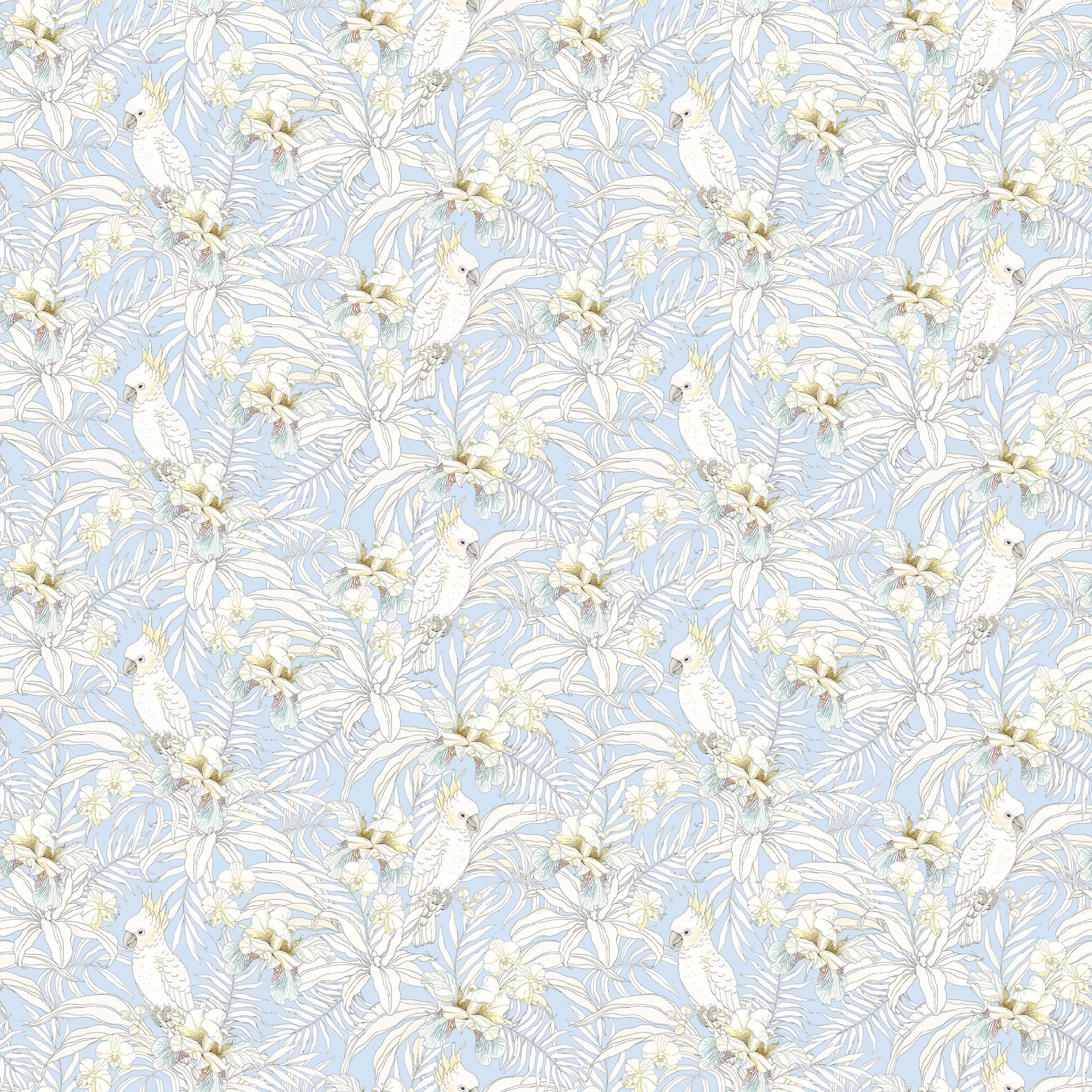 Tropical Bird Wallpaper