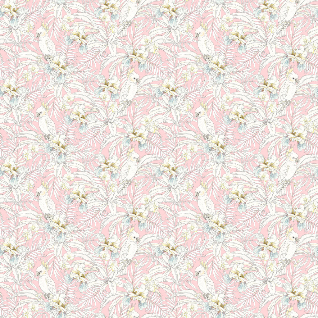 Tropical Bird Wallpaper