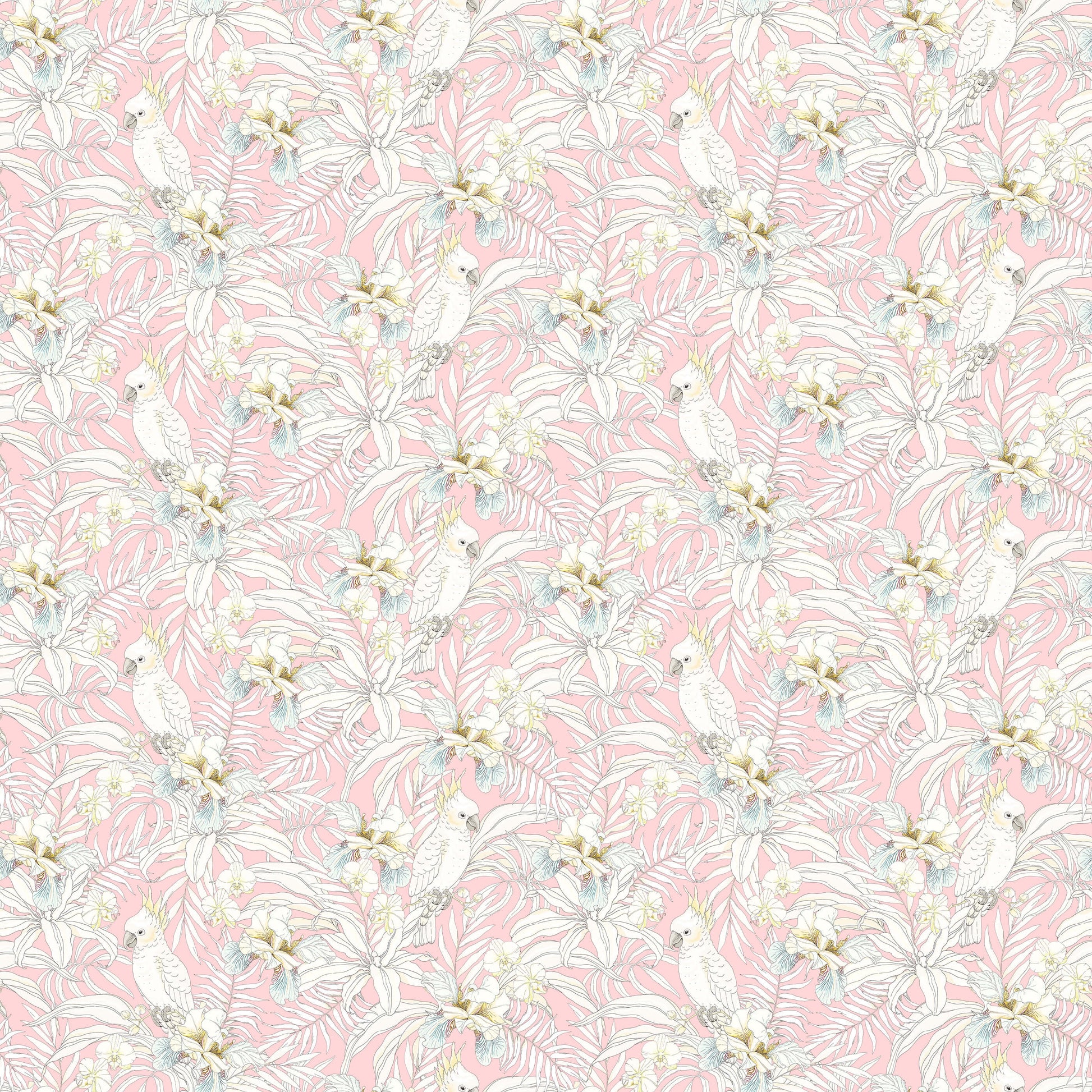 Tropical Bird Wallpaper