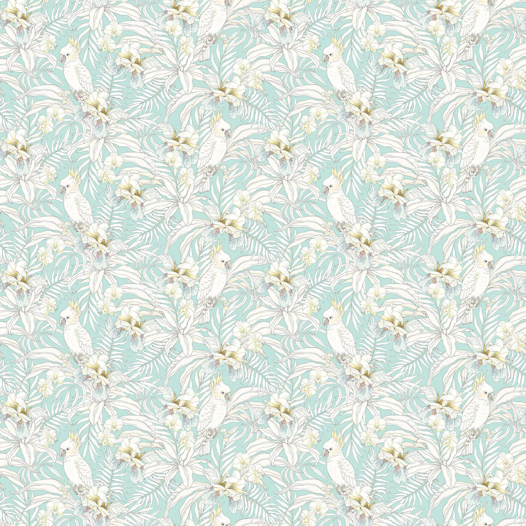 Tropical Bird Wallpaper