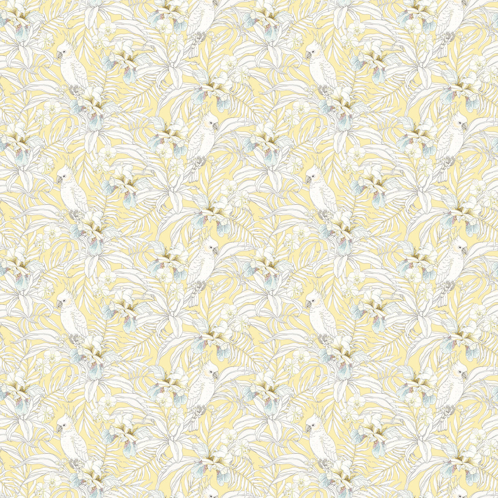 Tropical Bird Wallpaper