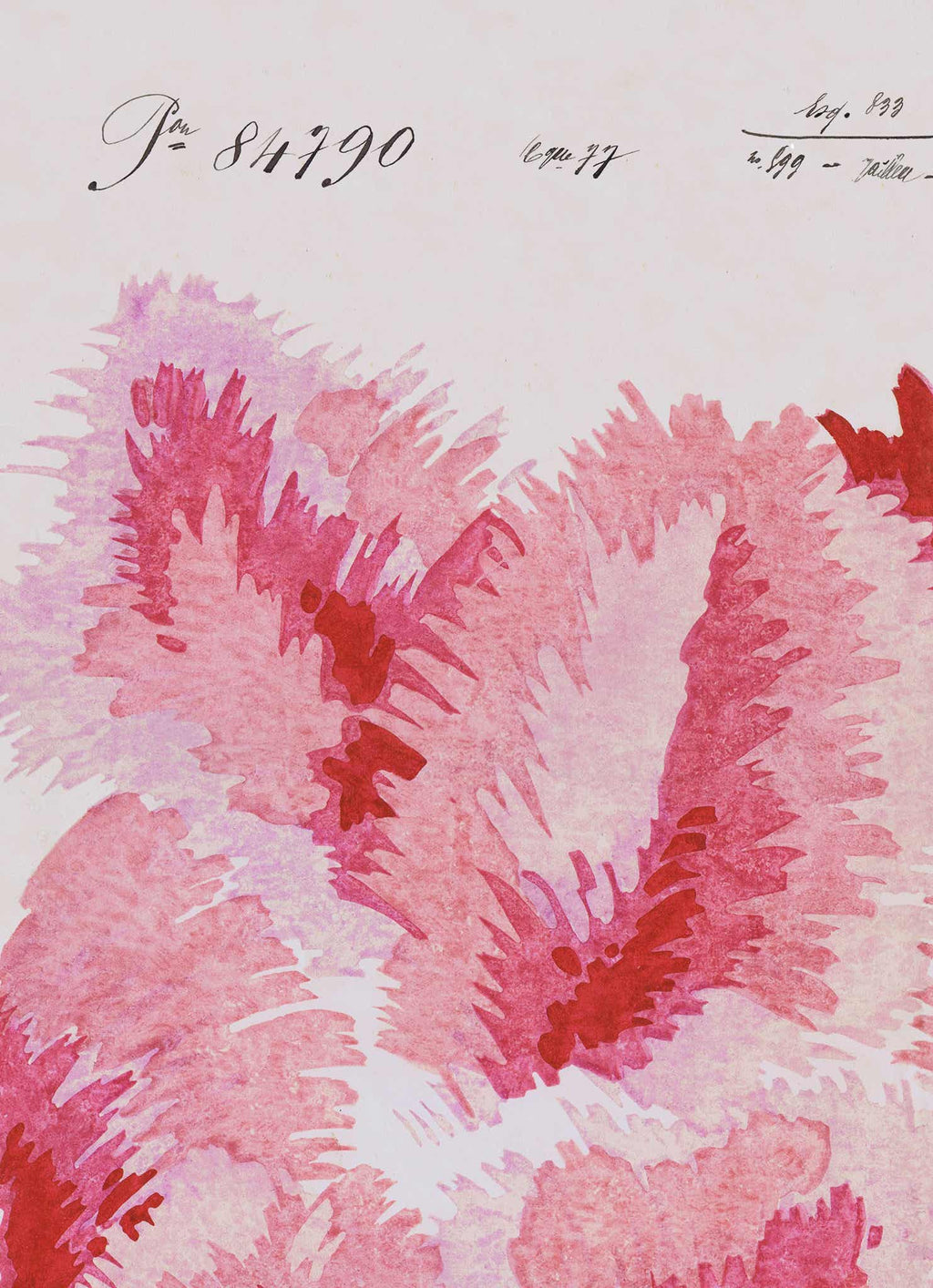 Venus Plumes Vintage Archive Poster Print