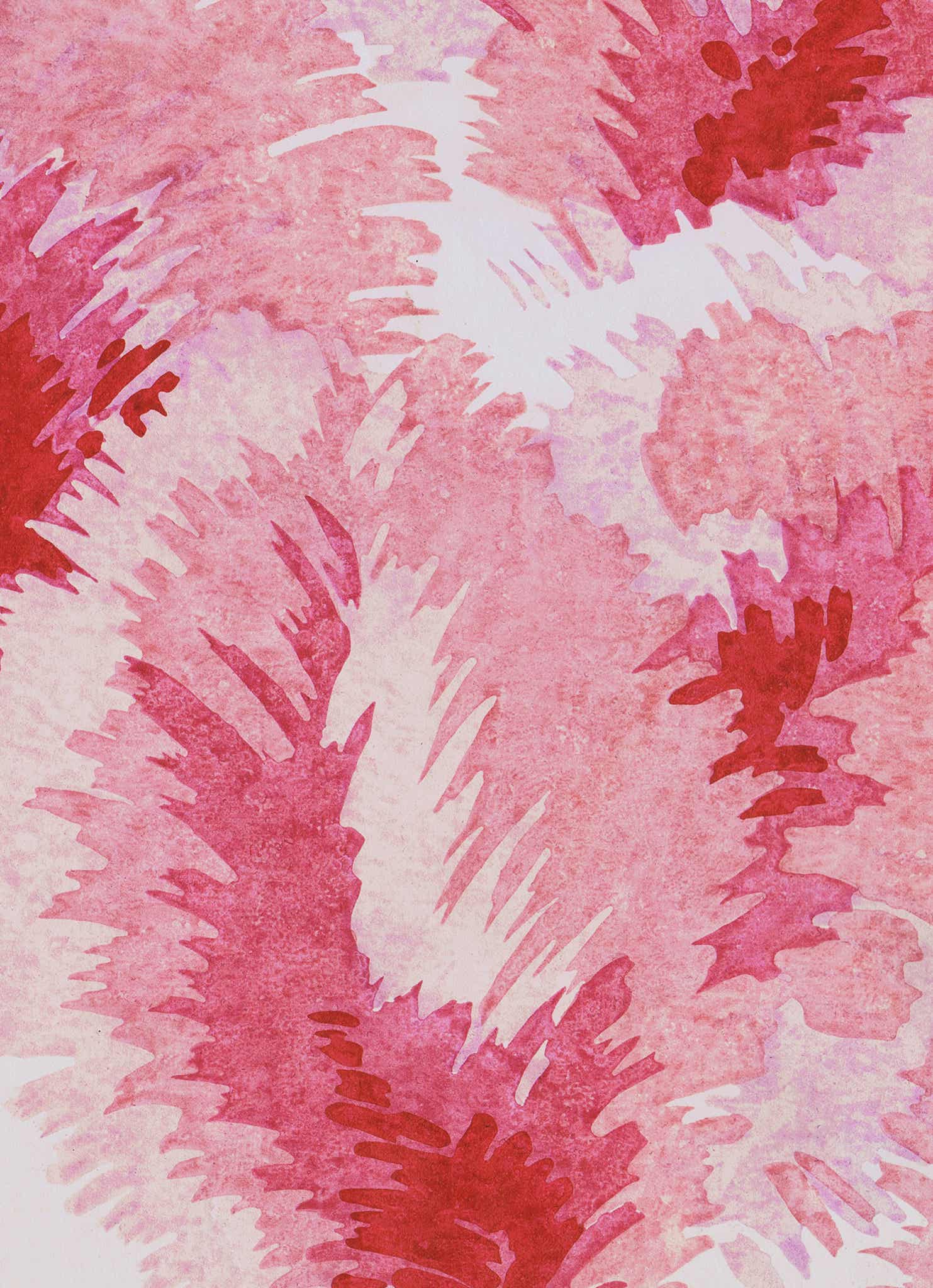 Venus Plumes Vintage Archive Poster Print