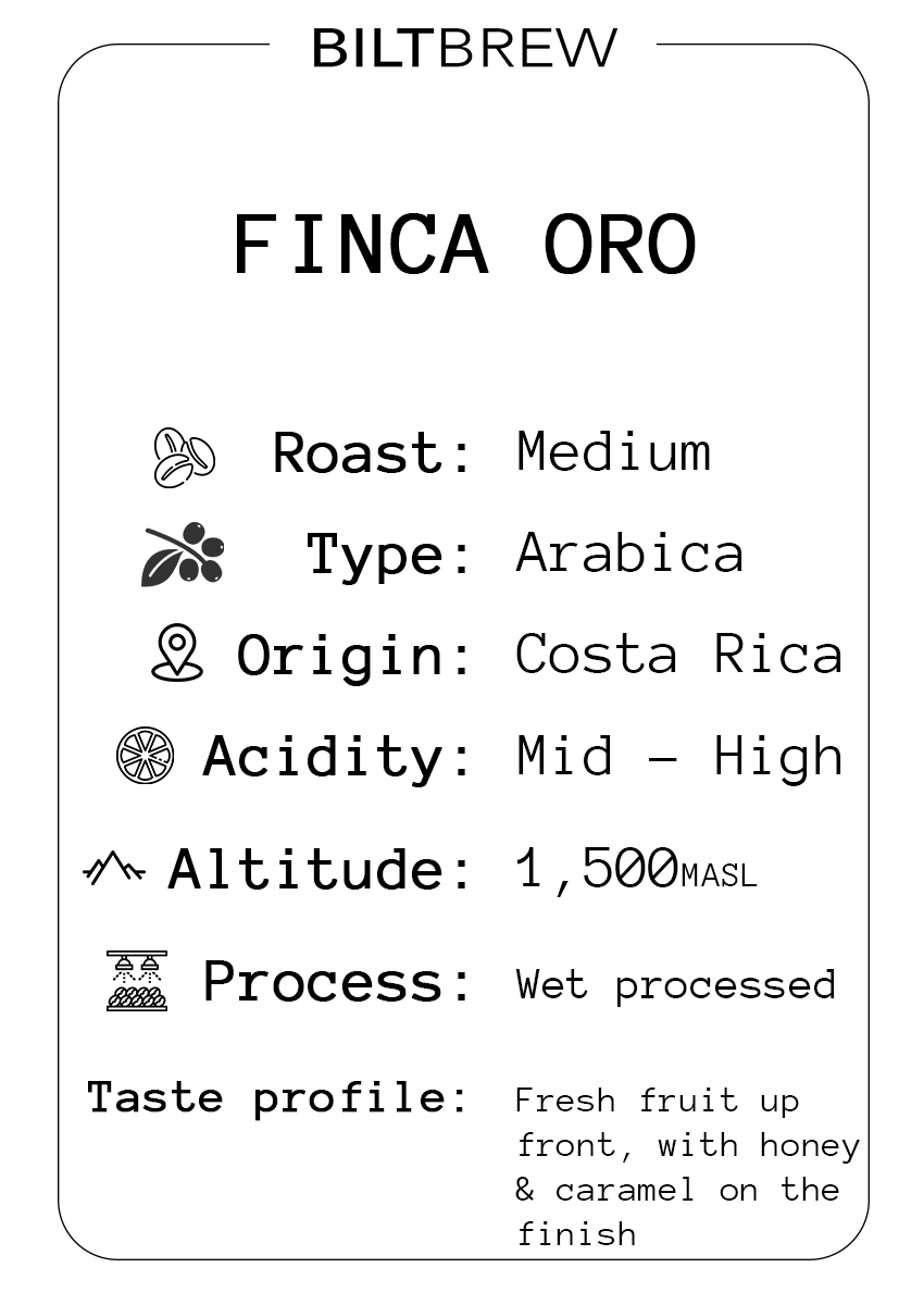 Costa Rica Oro Single Origin Coffee
