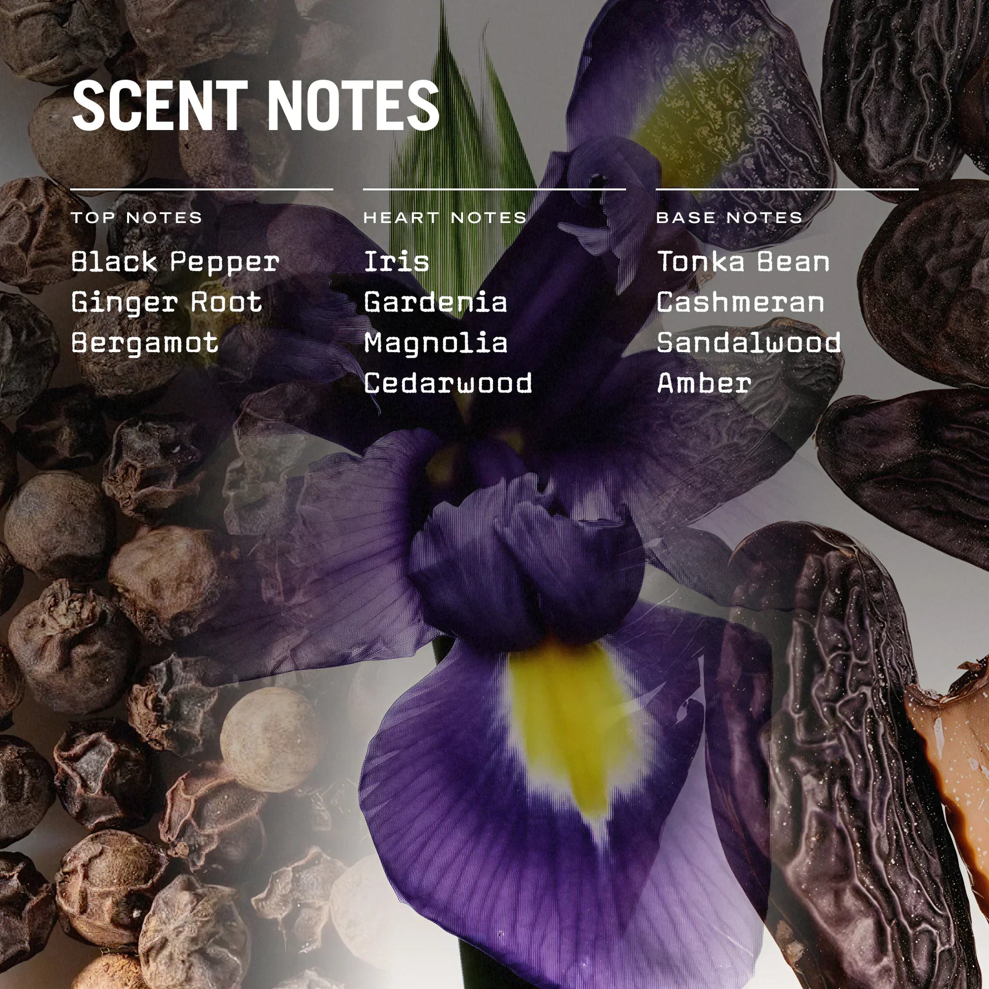 Leather Reed Diffuser 100ml