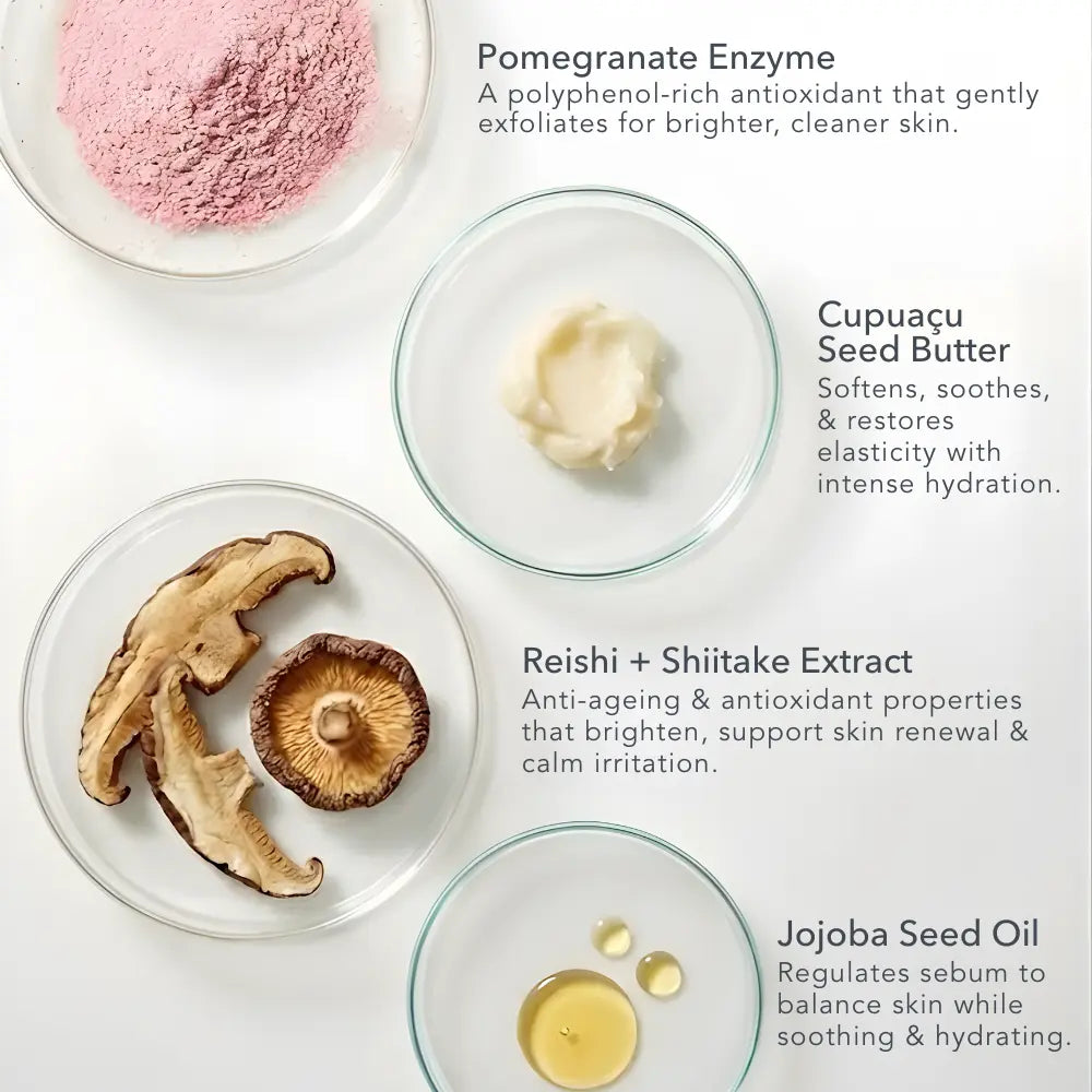 Rose & Cupuaçu Enzyme Cleanser