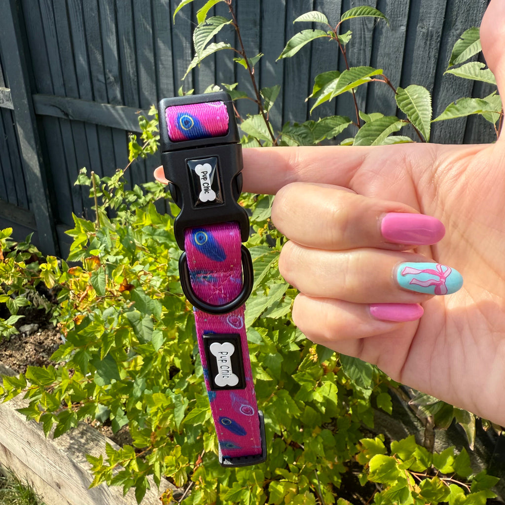 Peacock Power Dog Collar in Teal