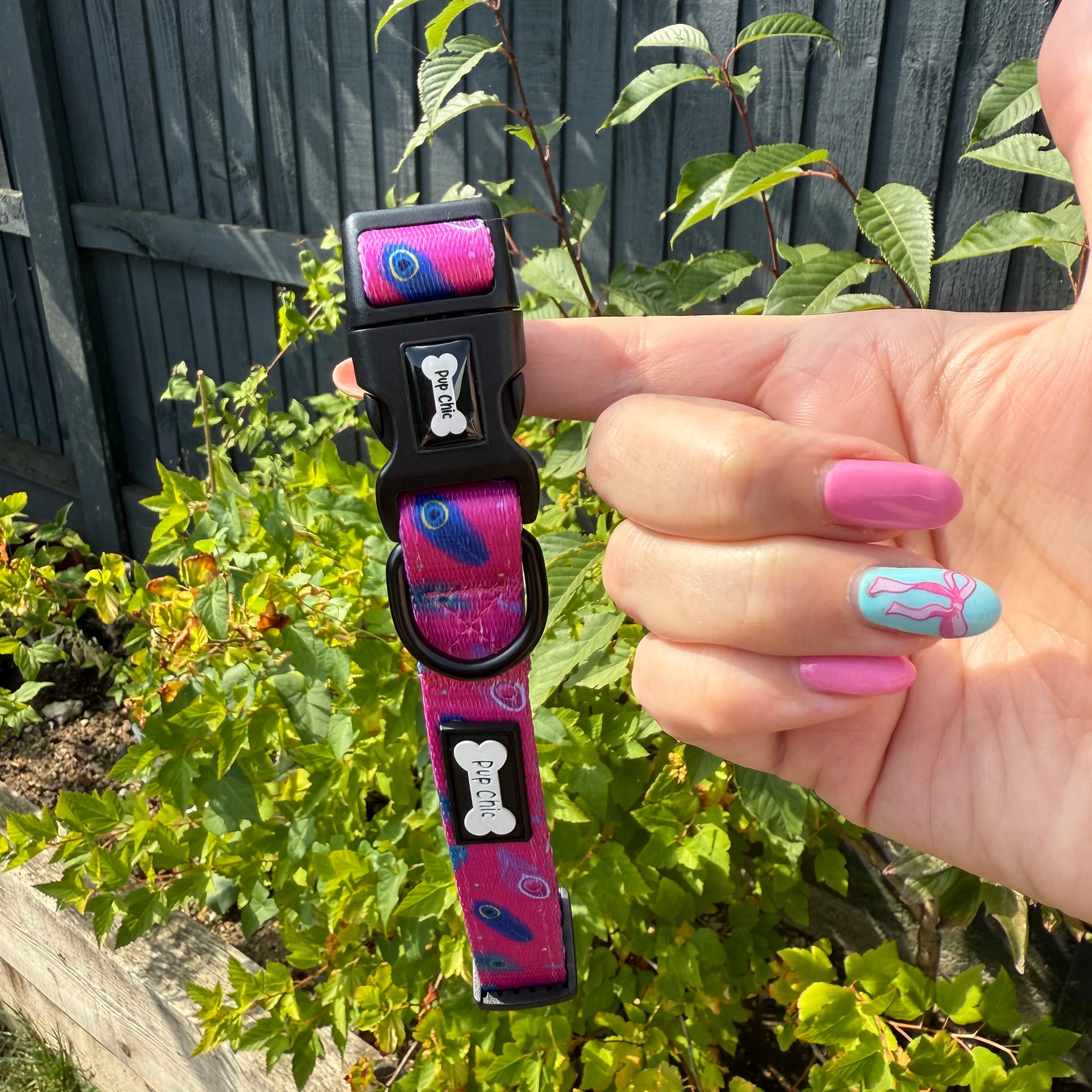 Peacock Power Dog Collar in Teal