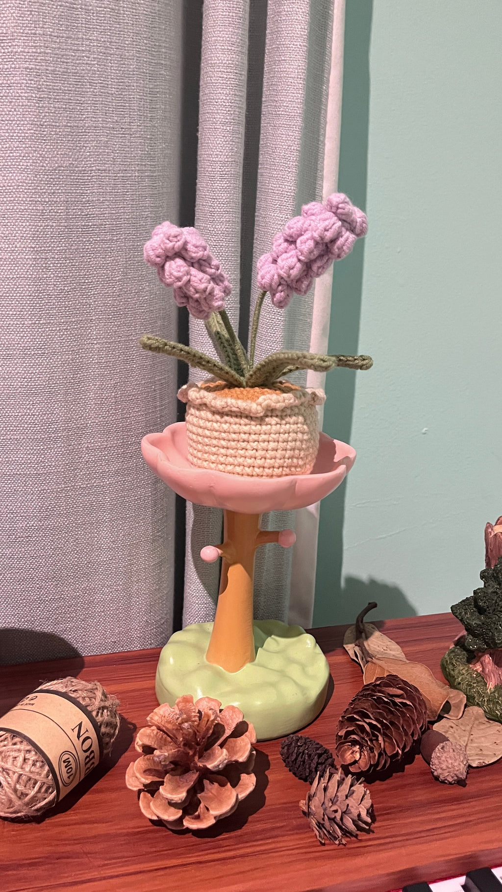 XXL Pot Plants Larger Size Bigger Smile