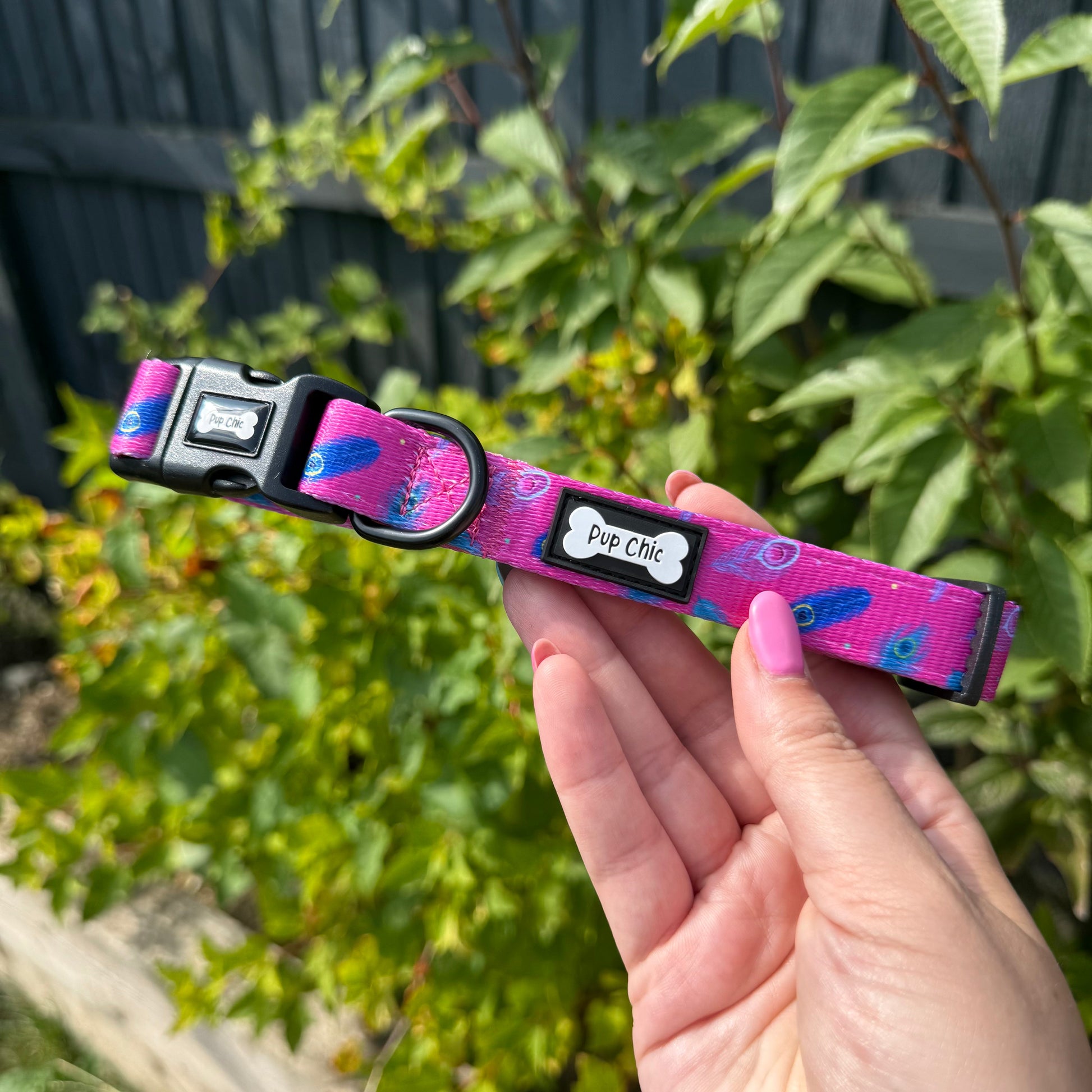 Peacock Power Dog Collar in Teal