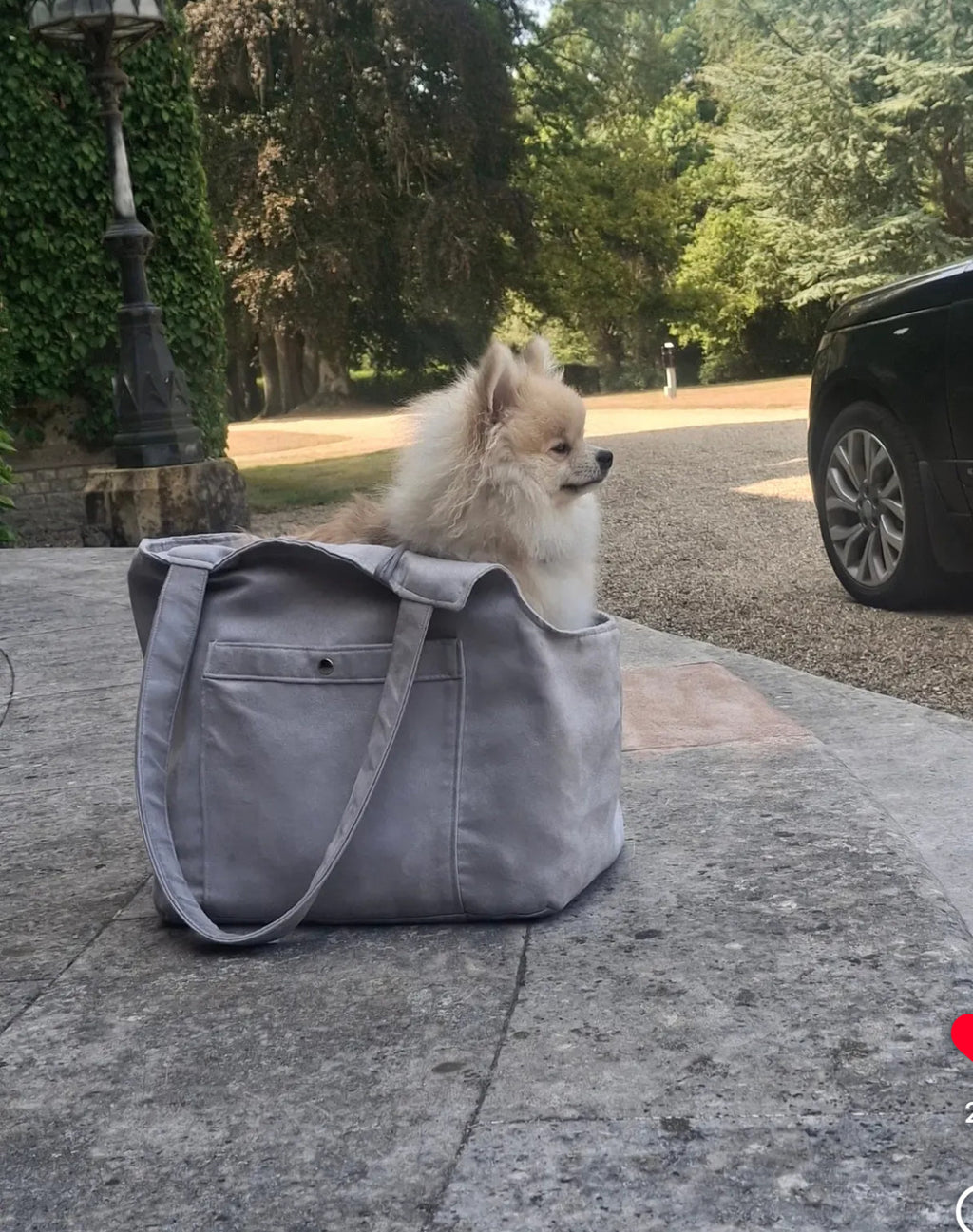 Grey Suede Camden Bear Dog Carrier