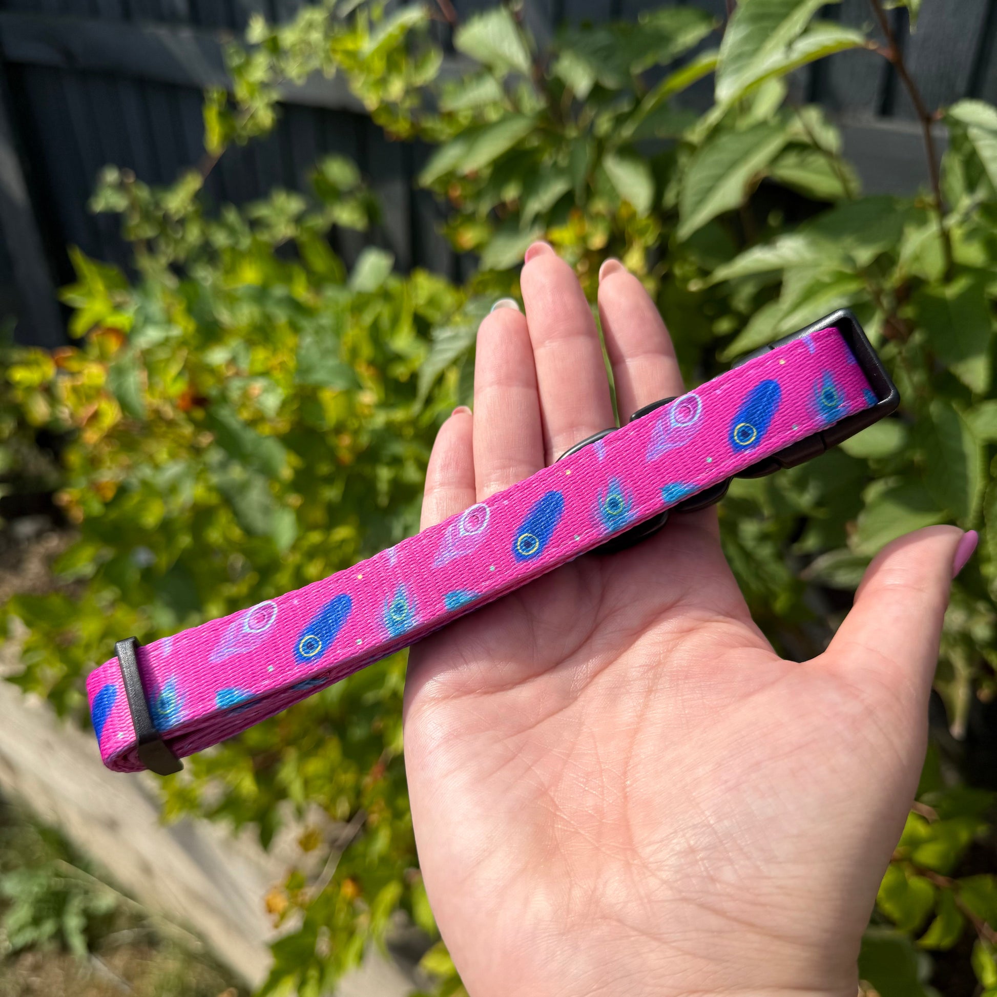 Peacock Power Dog Collar in Teal