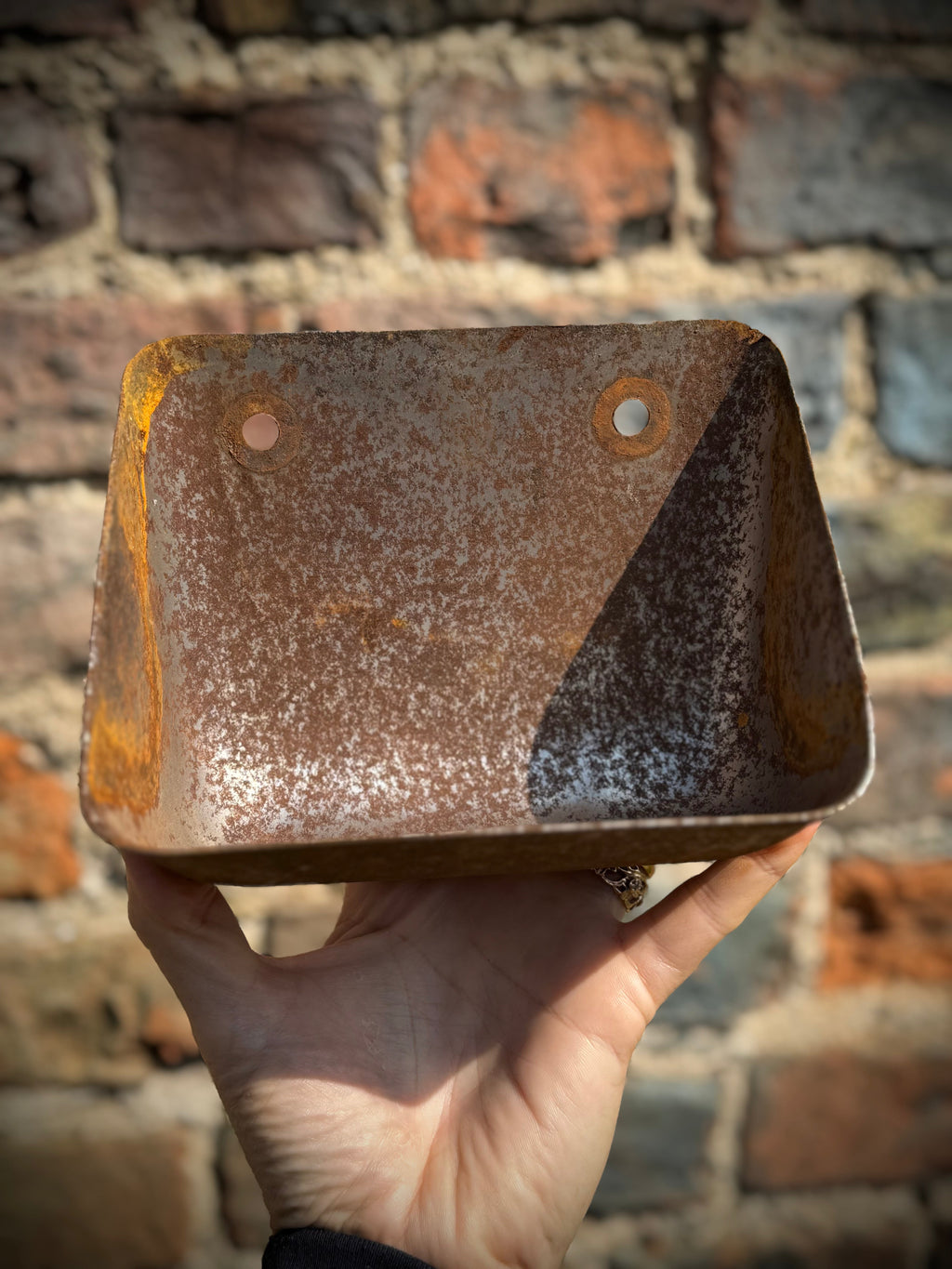 Vintage Rusty Metal Wall Mounted Planter for Herbs and Flowers