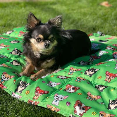 Roll and Go Signature Collection Garden Days Padded Chihuahua Print Travel Mat
